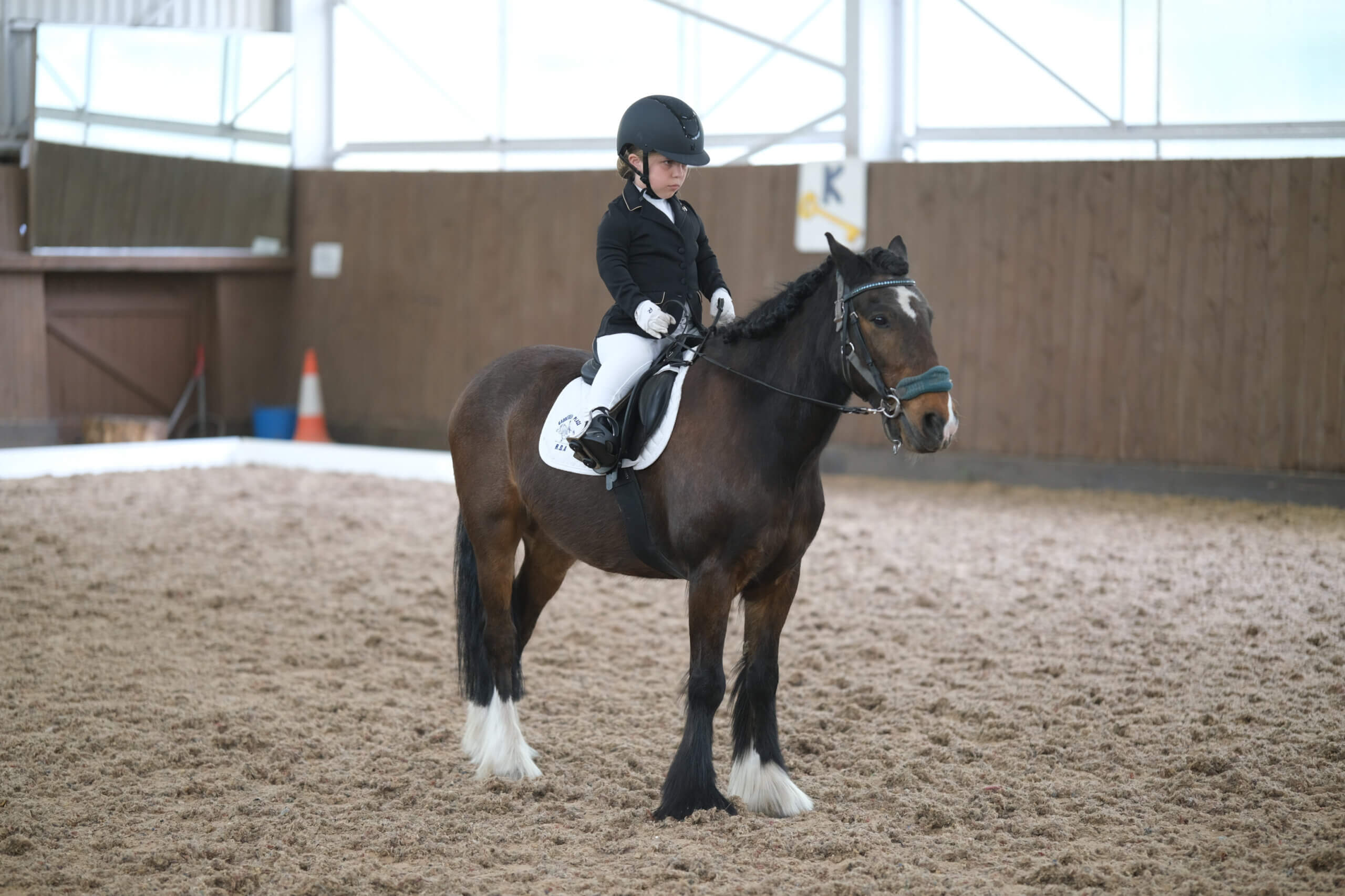 A photo showing a disabled rider showing off her dressage skills